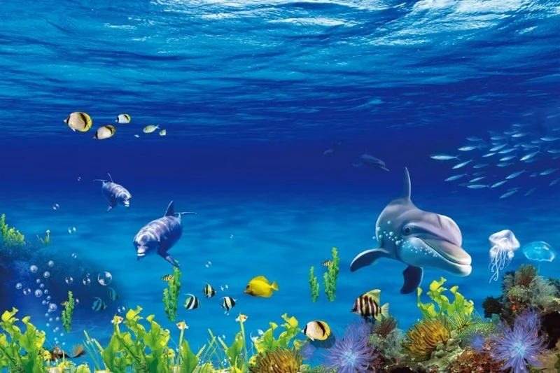 Berrak turkuaz suların derinliklerinde yüzen iki yunus, sarı balıklar ve mercan resifli 3D görsel.