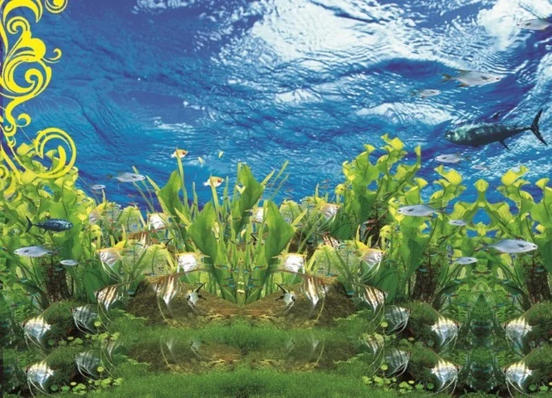 Denizaltı duvar kağıdı-dnzalt-149