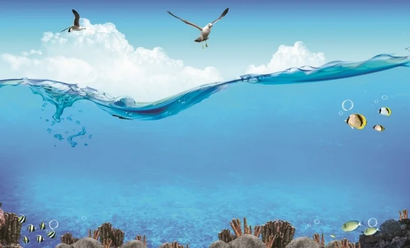 Denizaltı duvar kağıdı-dnzalt-151