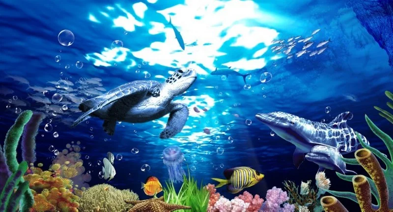 Denizaltı duvar kağıdı-dnzalt-154