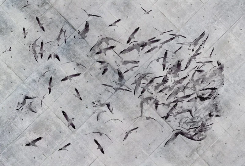 Beton Zemin Üzeri Kuş Figürlü Soyut İnsan Silüeti Duvar Kağıdı