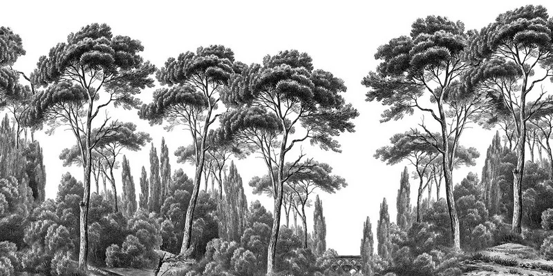 Monochrome Orman ve Ağaç Desenli Modern Duvar Kağıdı Siyah Beyaz Yılmaz Home Collection