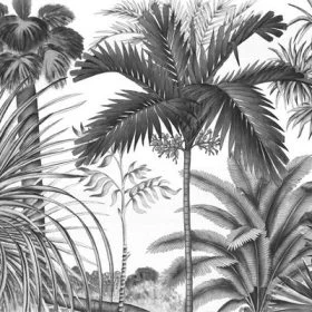 monochrome egzotik orman tukan kusu ve palmiye desenli duvar kagidi luks