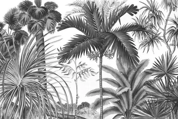 monochrome egzotik orman tukan kusu ve palmiye desenli duvar kagidi luks