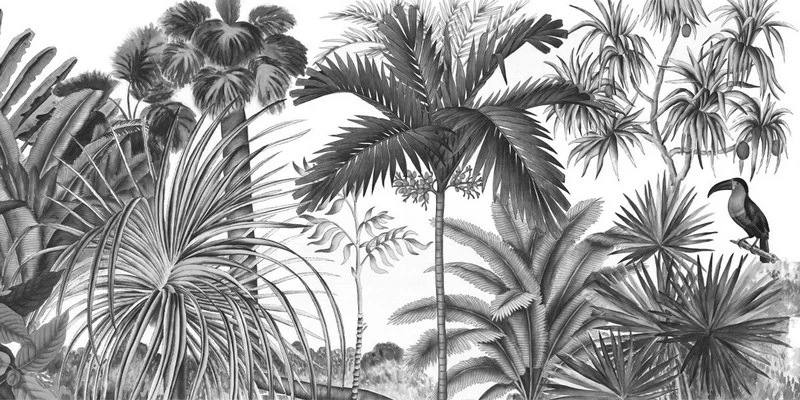 monochrome egzotik orman tukan kusu ve palmiye desenli duvar kagidi luks