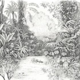 monochrome gravur tropikal nehir ve orman manzarali duvar kagidi