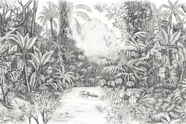 monochrome gravur tropikal nehir ve orman manzarali duvar kagidi