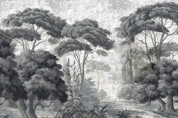 monochrome eskitme dokulu buyuk govdeli orman agaclari duvar kagidi