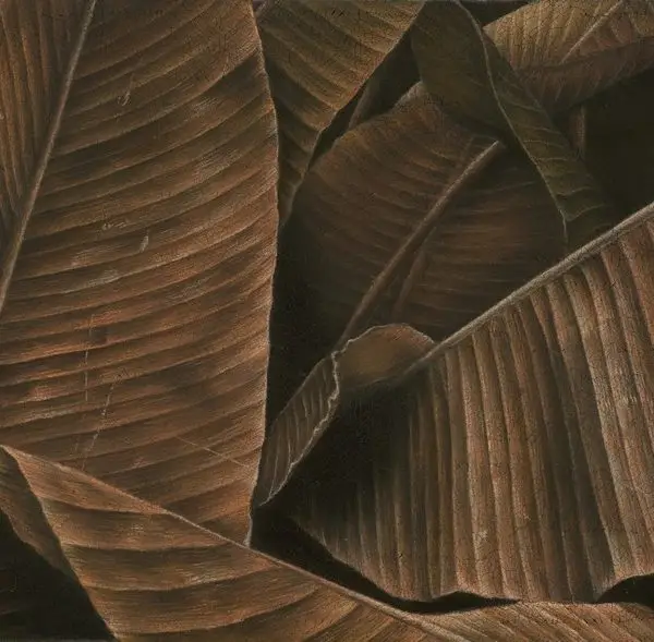 Sepya Tonlu Dev Kurutulmuş Yaprak Desenli Duvar Kağıdı Yılmaz Home Collection