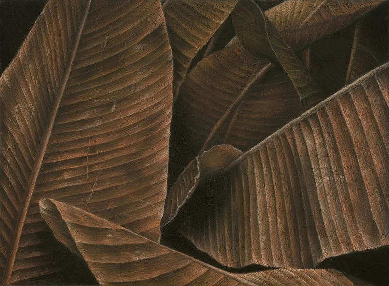 Sepya Tonlu Dev Kurutulmuş Yaprak Desenli Duvar Kağıdı Yılmaz Home Collection