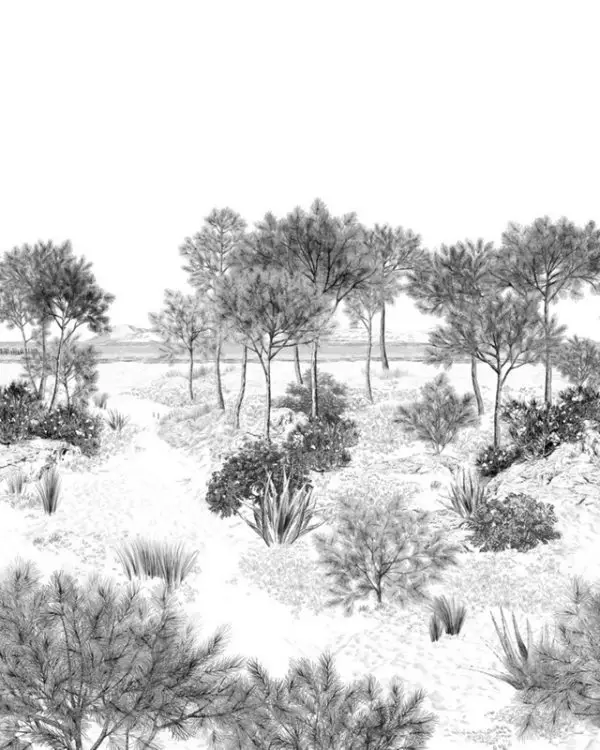 monochrome akdeniz fistik camlari ve agave esintili duvar kagidi