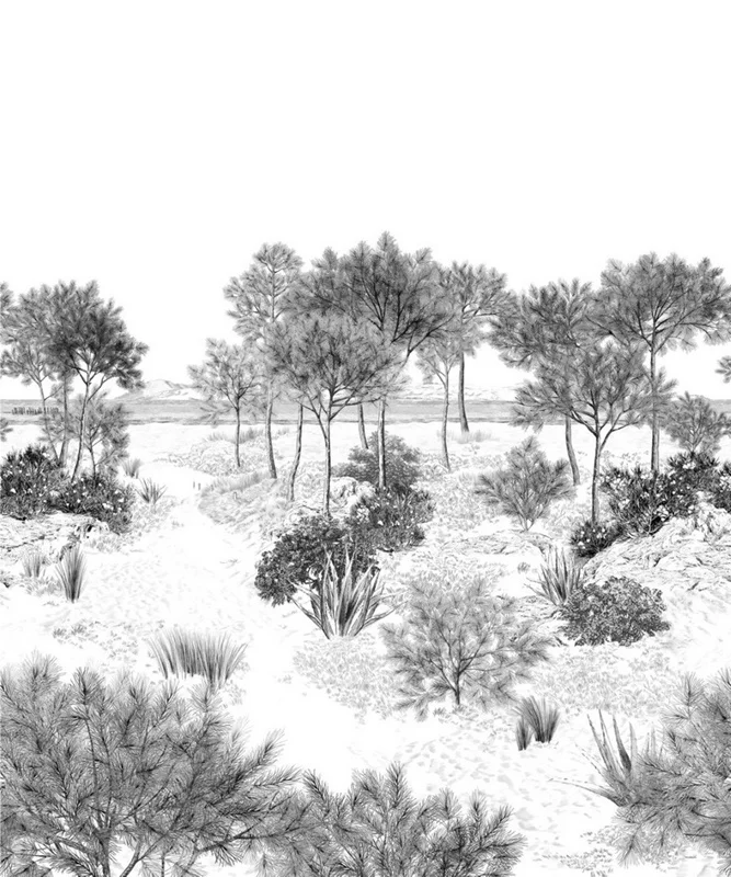 monochrome akdeniz fistik camlari ve agave esintili duvar kagidi