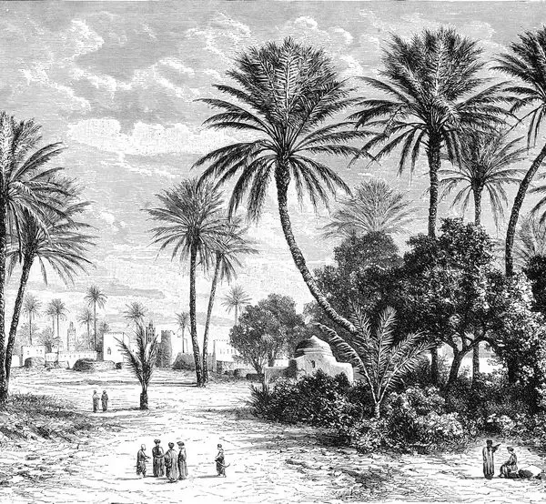 tropikal monochrome sahil ve palmiye manzarali panorama duvar kagidi