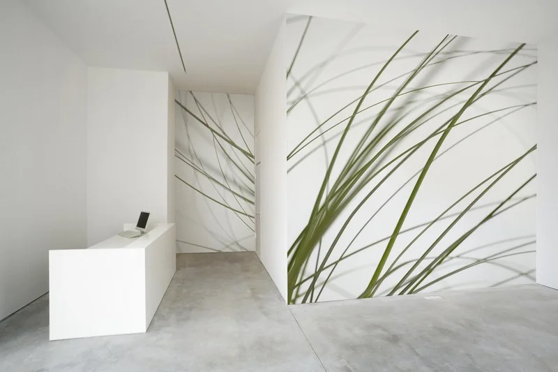 Yaprak Desenler duvar kağıdı-yprk-170 - Görsel 2