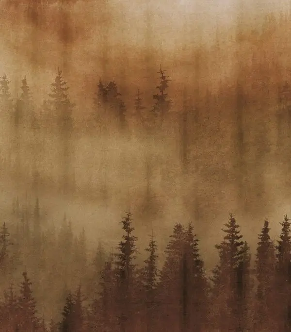 Yüksek Çam Ağaçları Arasından Uzanan Yol ve Dalların Arasından Süzülen Yumuşak Güneş Işığı Temalı 3D Derinlik Etkili Manzara Duvar Kağıdı