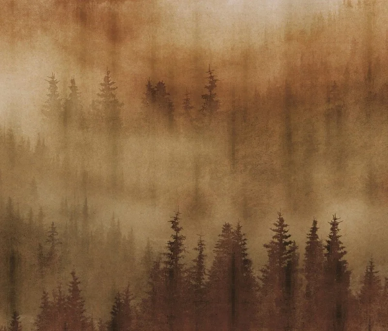 Yüksek Çam Ağaçları Arasından Uzanan Yol ve Dalların Arasından Süzülen Yumuşak Güneş Işığı Temalı 3D Derinlik Etkili Manzara Duvar Kağıdı