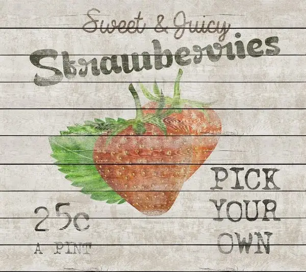 Beyaz eskitme ahşap fon üzerine "Sweet & Juicy Strawberries" yazılı nostaljik çilek illüstrasyonlu duvar kağıdı.