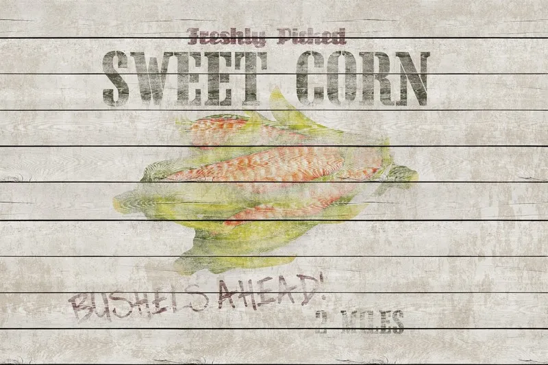 Beyaz ahşap dokusu üzerinde taze mısır illüstrasyonu ve Sweet Corn yazılı rustik duvar kağıdı.