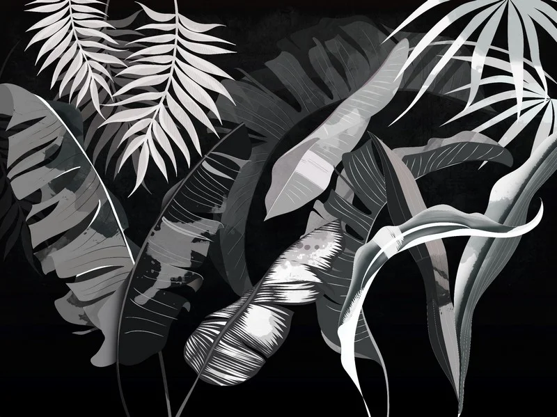 Trendyol siyah zeminli beyaz muz yaprağı desenli duvar posteri bursa ve Hepsiburada modern antrasit palmiye yaprağı duvar kağıdı modelleri