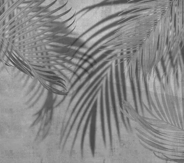 Trendyol antrasit gri eskitme zeminli palmiye yaprağı duvar posteri bursa ve Hepsiburada beton dokulu gölge efektli tropikal duvar kağıdı modelleri