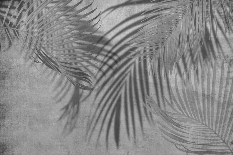 Trendyol antrasit gri eskitme zeminli palmiye yaprağı duvar posteri bursa ve Hepsiburada beton dokulu gölge efektli tropikal duvar kağıdı modelleri