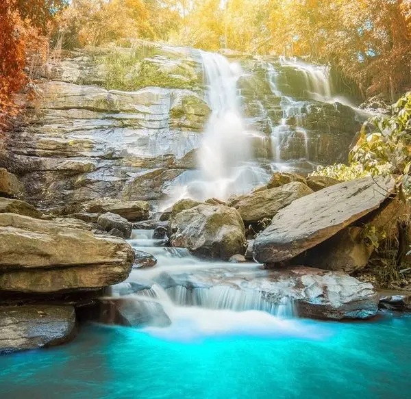 Sonbahar Renklerine Bürünmüş Ağaçlar Arasında Akan Görkemli Şelale ve Turkuaz Berrak Gölet Manzaralı 3D Duvar Kağıdı
