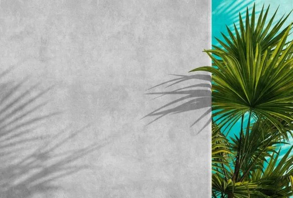 Yaprak Desenler duvar kağıdı-yprk-176