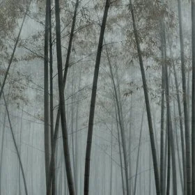 Sisler Arasından Yükselen Dikey Bambu Ağacı Siluetlerini ve Mistik Orman Atmosferini Yansıtan Modern Doğa Manzaralı Duvar Kağıdı