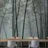 Sisler Arasından Yükselen Dikey Bambu Ağacı Siluetlerini ve Mistik Orman Atmosferini Yansıtan Modern Doğa Manzaralı Duvar Kağıdı