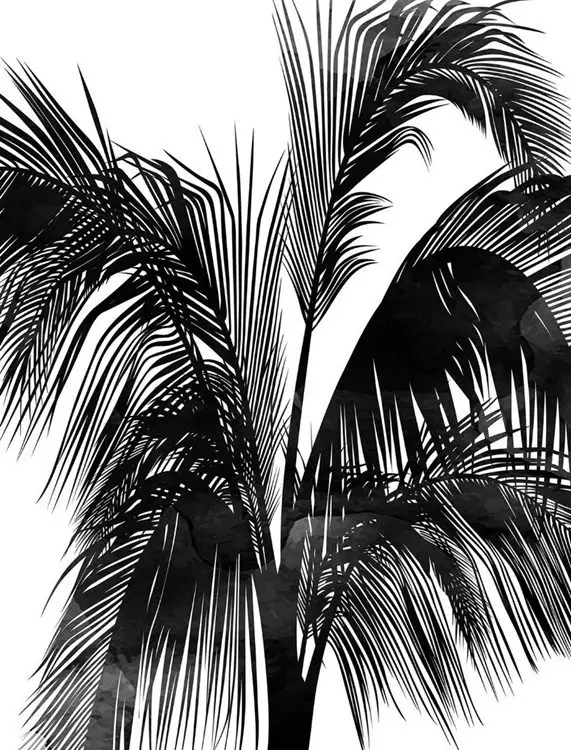 monochrome siyah buyuk tropikal palmiye yapragi desenli duvar kagidi