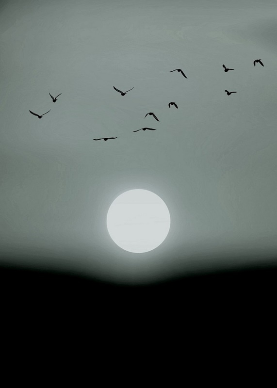 Doğa Manzara duvar kağıdı-dgmnz-122