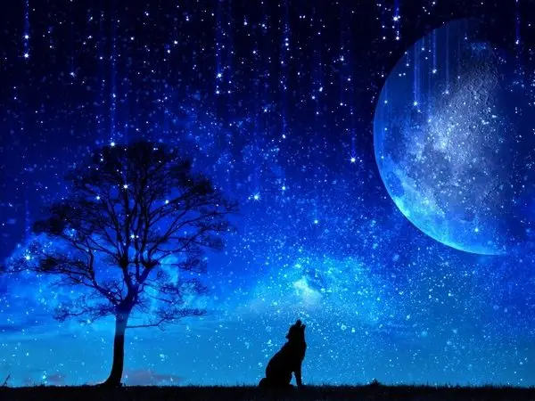 mavi gece ulumasi uluyan kurt ve devasa mavi ay temali 3d duvar kagidi