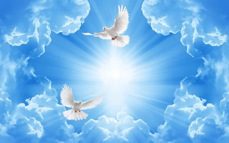 Uzay ve Gezegenler-uzygzgn-168