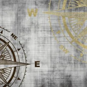 zenith navigasyon altin efektli cift pusula duvar kagidi