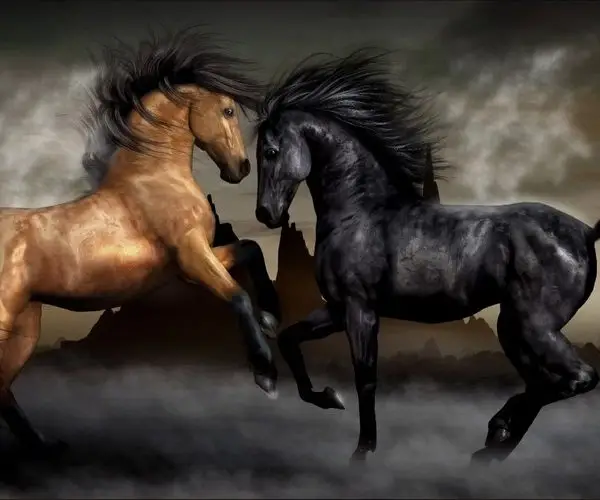 asalet sahlanan atlar ozgur ruh 3d hayvan temali duvar kagidi