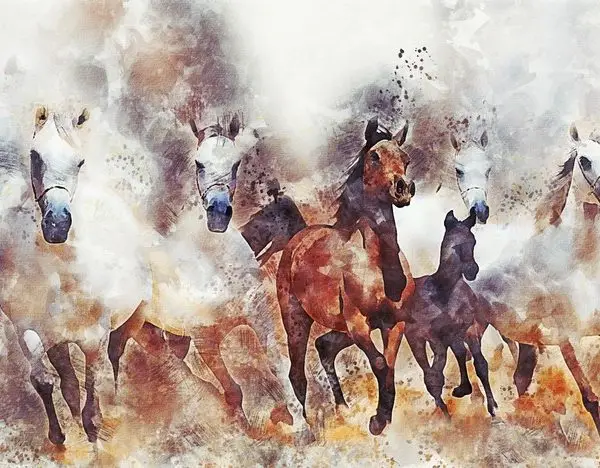 sulu boya efektli kosan atlar 3d hayvan temali duvar kagidi