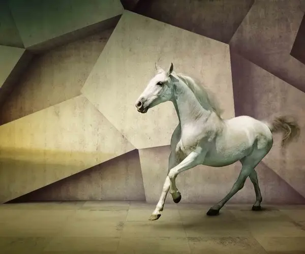 asaletin geometrisi beyaz at 3d modern hayvan temali duvar kagidi