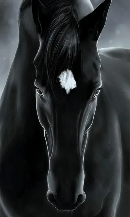 siyahin gucu karizmatik at 3d hayvan temali duvar kagidi