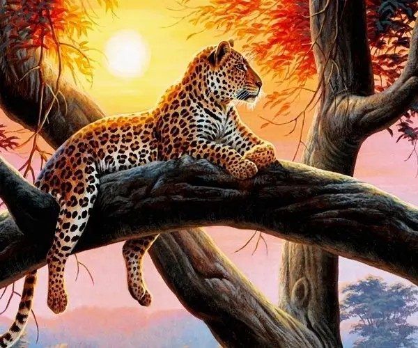 Hayvan temalı duvar kağıdı-hyvt-208