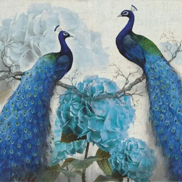 ihtisamli tavus kuslari mavi ortanca 3d hayvan temali duvar kagidi