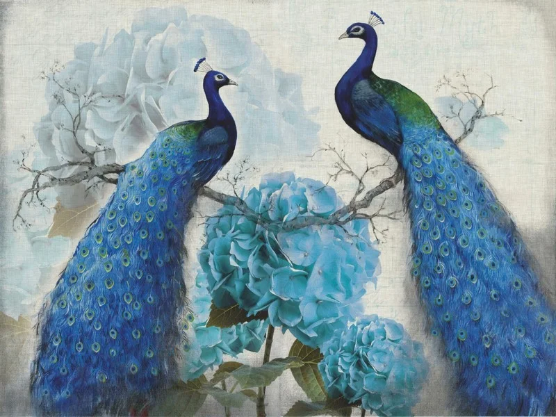 ihtisamli tavus kuslari mavi ortanca 3d hayvan temali duvar kagidi