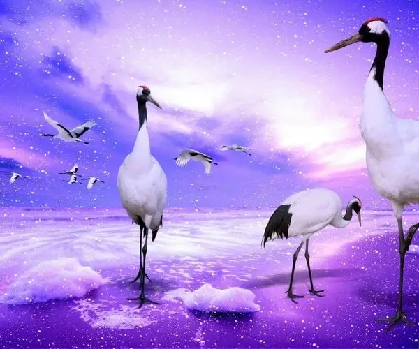 mor dusler diyari turna kuslari fantastik 3d duvar kagidi