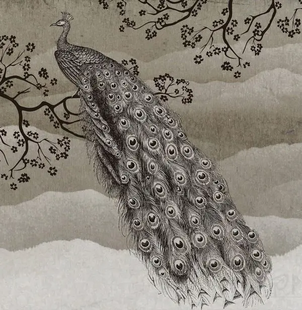 asalet mirasi gravur desenli tavus kusu 3d hayvan temali duvar kagidi