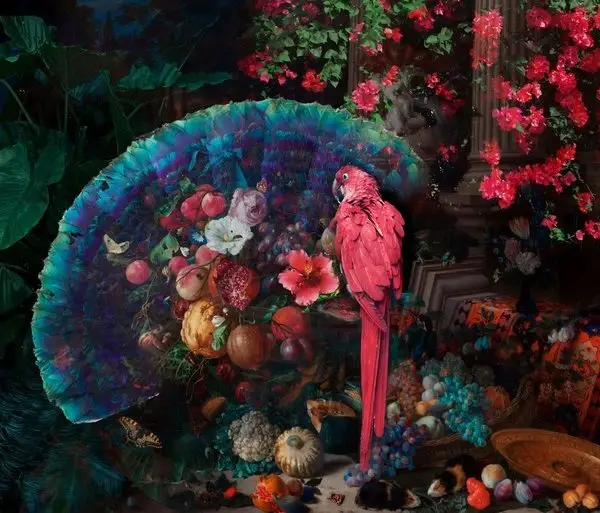 egzotik ihtisam kirmizi papagan 3d hayvan temali duvar kagidi