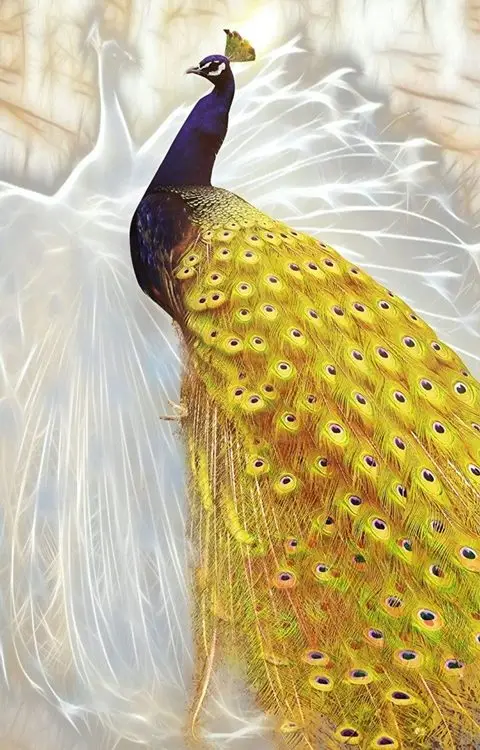 Altın Işıltılı Sarı Tavus Kuşu 3D Hayvan Temalı Duvar Kağıdı