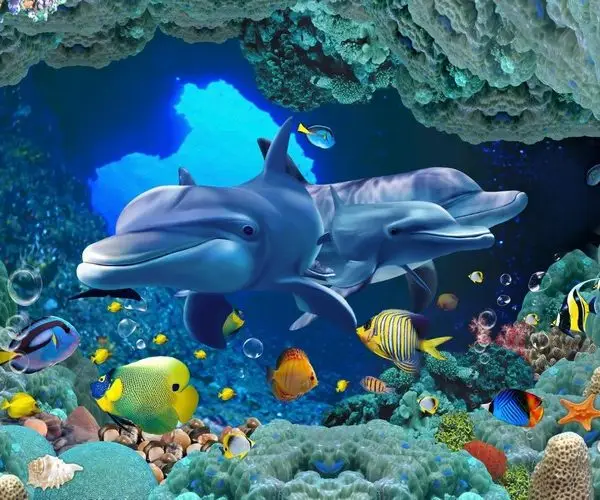 mavi derinlik yunus ailesi 3d hayvan temali duvar kagidi