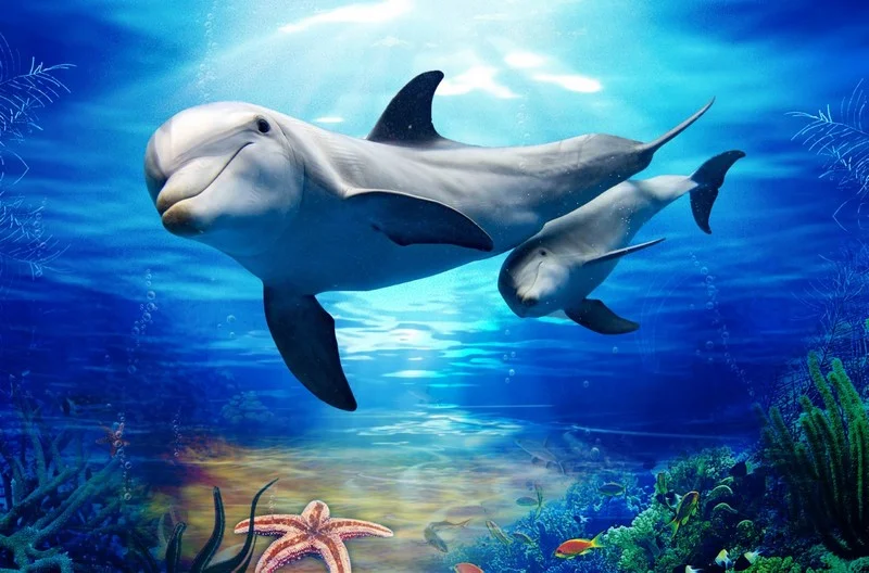 Hayvan temalı duvar kağıdı-hyvt-188