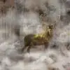 geyik sisi mistik orman 3d hayvan temali duvar kagidi