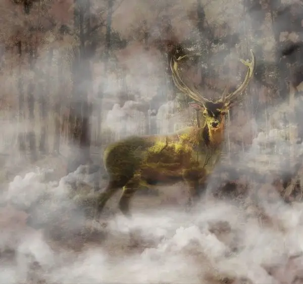 geyik sisi mistik orman 3d hayvan temali duvar kagidi