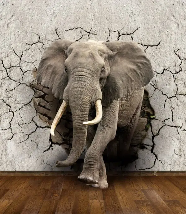 duvari delen dev fil 3d hayvan temali duvar kagidi